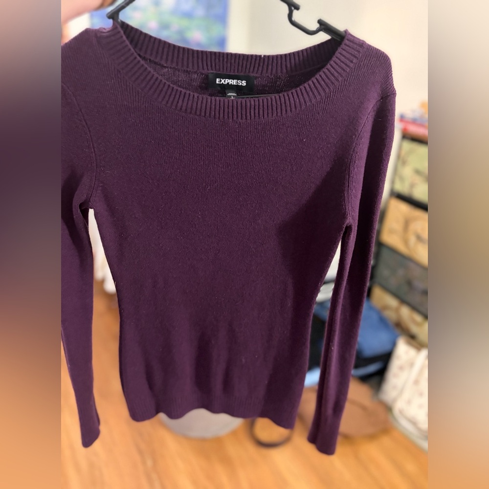 Express Women's Deep Purple Crew Neck Sweater NWOT